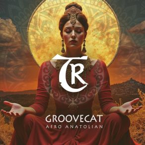 Afro Anatolian album cover