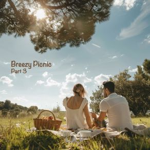 Breezy Picnic Pt. 3 album cover