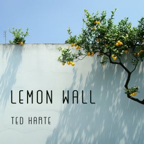 Lemon Wall album cover