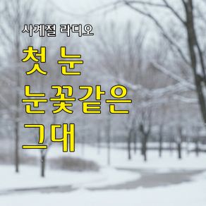 Snowflake album cover