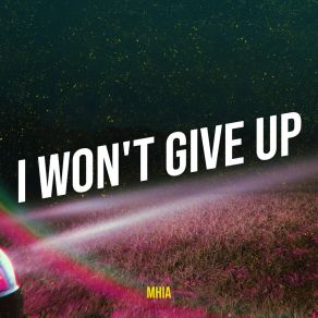 I Won't Give Up album cover