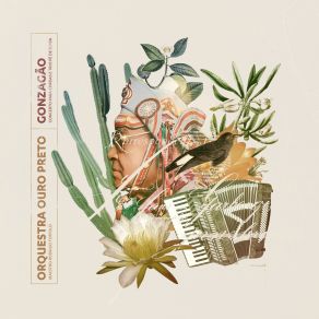 Gonzagão: Concerto Para Cordas E Trio Pé De Serra album cover