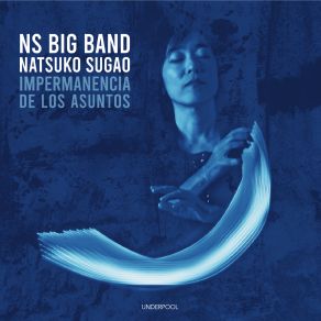 Impermanencia De Los Asuntos album cover