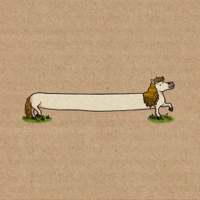 The Longest Pony album cover