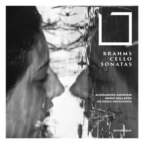 Brahms Cello Sonatas (On Period Instruments) album cover