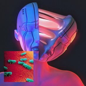 Scenes From (Single) album cover