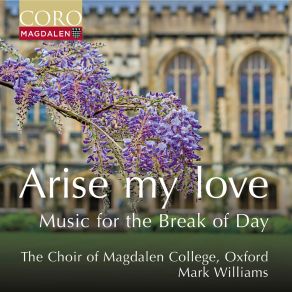 Arise My Love - Music For The Break Of Day album cover
