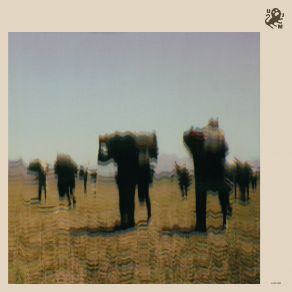 Zawsze Coś album cover