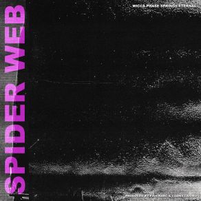 Spider album cover