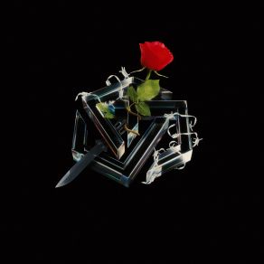 Danger (Maxi-Single) album cover