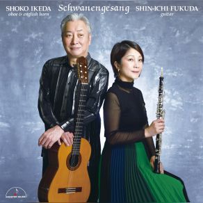 Schwanengesang album cover