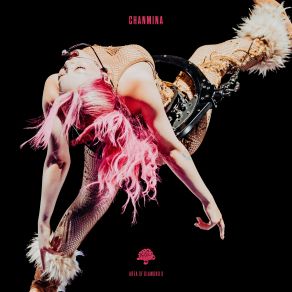 AREA OF DIAMOND 3 (Live) album cover