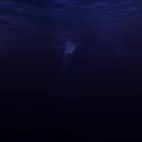 Salt & Silence album cover