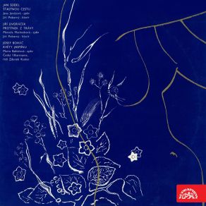 Seidel, Dvořáček, Boháč: Songs album cover