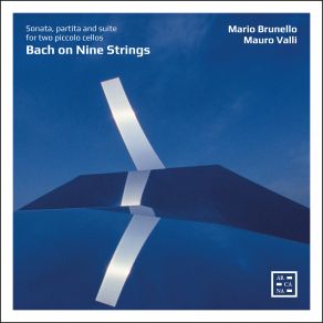J. S. Bach On Nine Strings. Suite, Partita And Sonata For Two Piccolo Cellos album cover