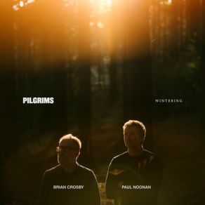 Wintering album cover