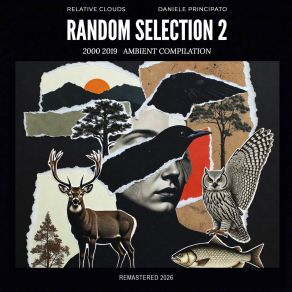 Random Selection 2 - Remastered album cover