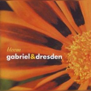 Bloom (CD1) album cover