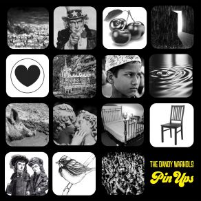 Pin Ups album cover