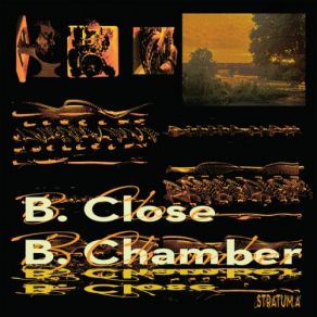 B. Chamber (Stratum A) album cover