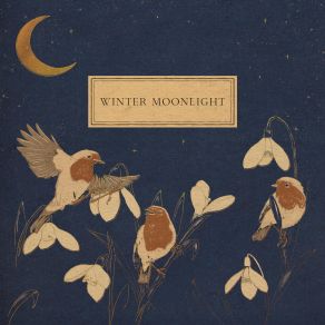 Winter Moonlight album cover