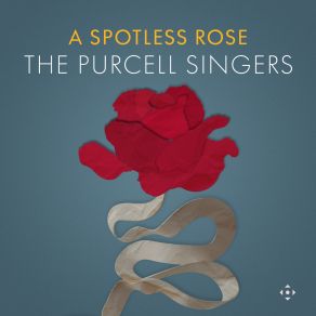 A Spotless Rose album cover