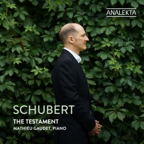 Schubert: The Testament album cover