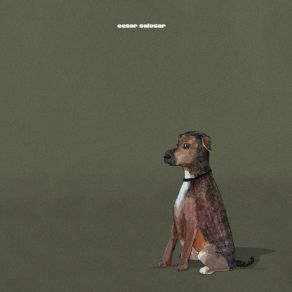 Tórax album cover