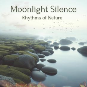 Rhythms Of Nature album cover