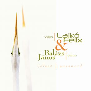 Jelszó album cover