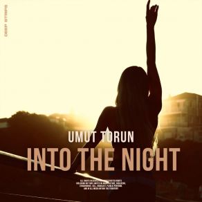 Into The Night album cover