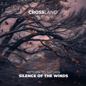 Silence Of The Winds album cover