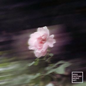 Love Sick album cover