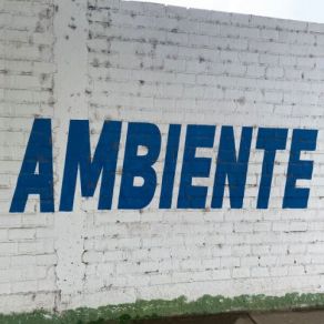 Ambiente album cover