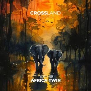Africa Twin album cover