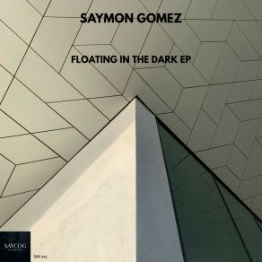 FLOATING IN THE DARK album cover