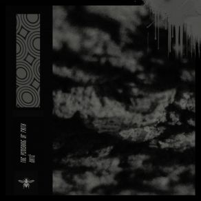 Split # 2 album cover
