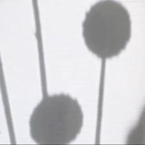 Single Point album cover