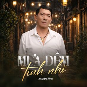 Mưa Đêm Tình Nhỏ album cover