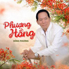 Phượng Hồng album cover