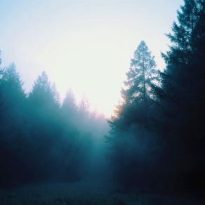 Outdoors album cover