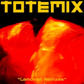 TotemiX album cover