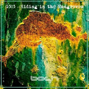 Hiding In The Mangroves album cover