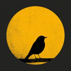 Seek album cover
