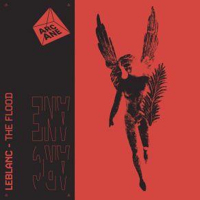 The Flood album cover