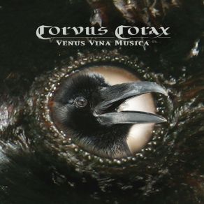 Venus Vina Musica album cover