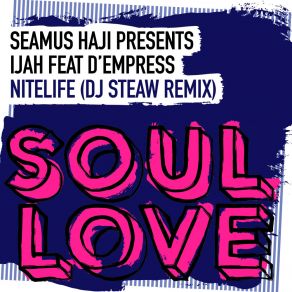 Nitelife (DJ Steaw Remix) album cover