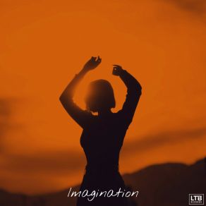 Imagination album cover