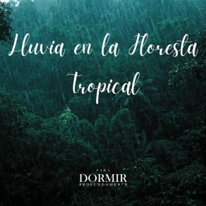Lluvia En La Floresta Tropical album cover