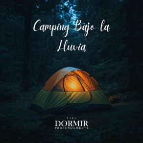 Camping Bajo La Lluvia album cover